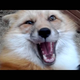 TGIF: Show Us Your Squee!